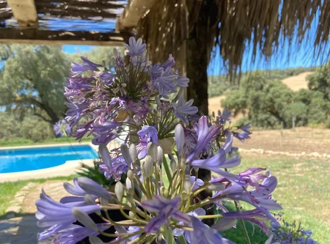 Villa Encinas *