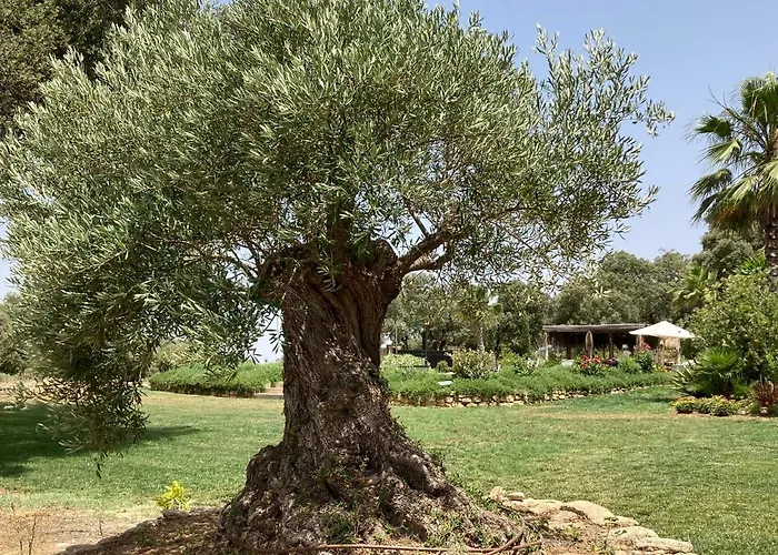 Villa Encinas Ronda